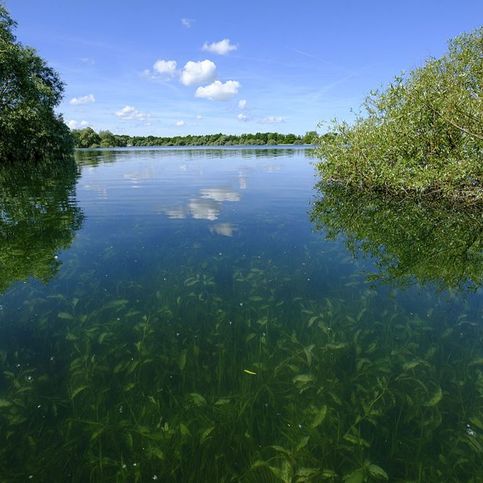 Une nature préservée